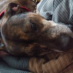 Meet your Posher, Audrey